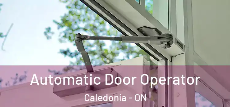Automatic Door Operator Caledonia - ON