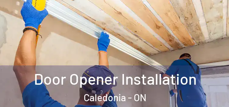  Door Opener Installation Caledonia - ON
