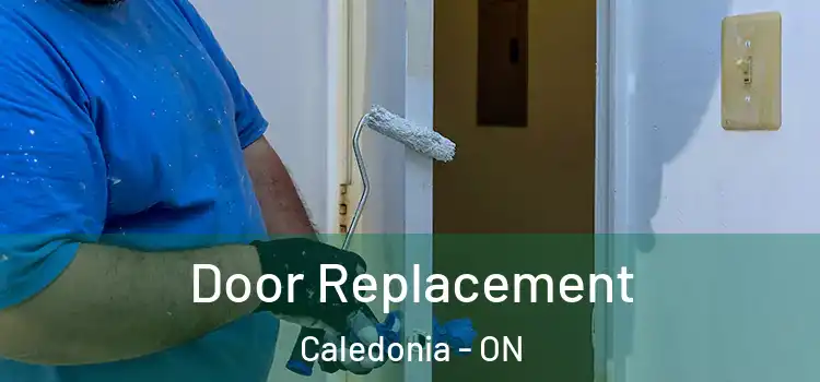 Door Replacement Caledonia - ON