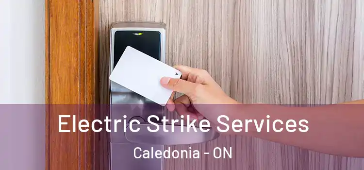  Electric Strike Services Caledonia - ON