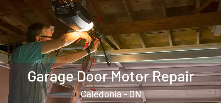  Garage Door Motor Repair Caledonia - ON