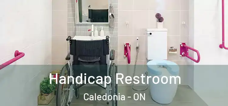 Handicap Restroom Caledonia - ON