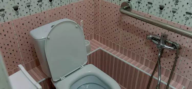 Meeting Diverse Needs With Accessible Restroom Solutions in Caledonia, ON