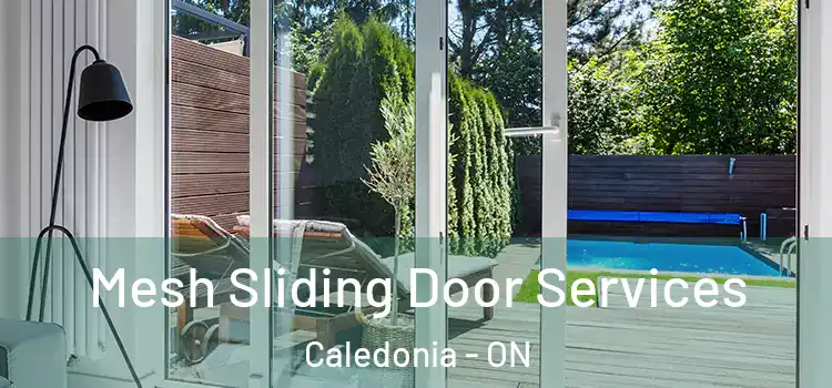Mesh Sliding Door Services Caledonia - ON
