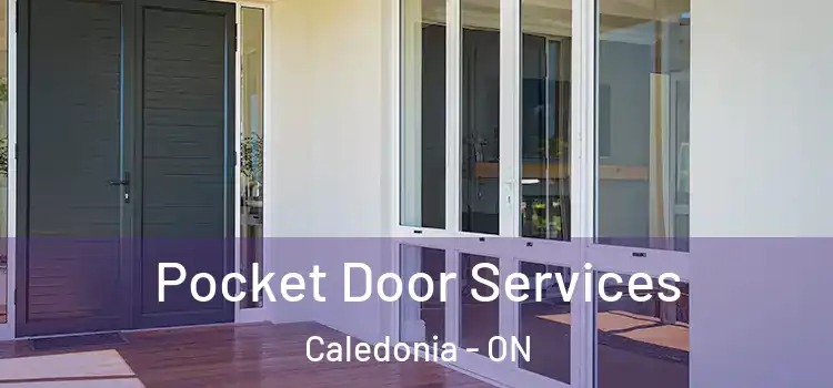  Pocket Door Services Caledonia - ON