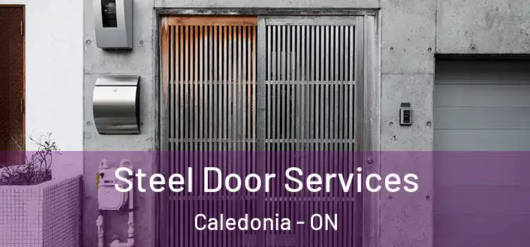  Steel Door Services Caledonia - ON